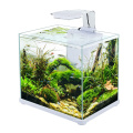 Vente en gros sobo unique petit mini aquarium en verre accessoires aquarium